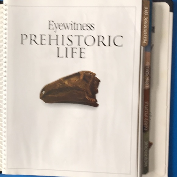 DK Eyewitness Books: Prehistoric Life - Picture 2 of 10